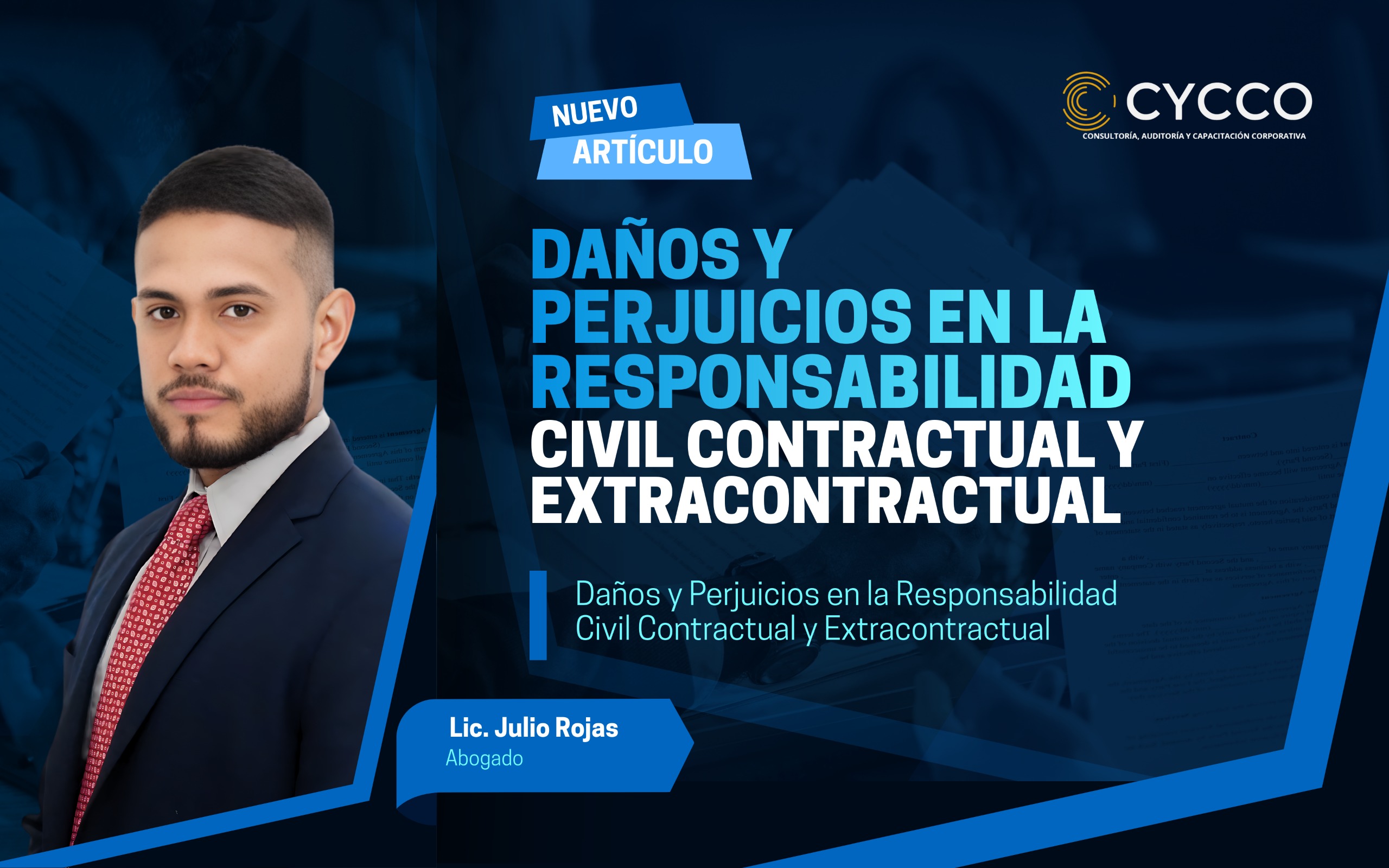 Los daños y perjuicios en la responsabilidad civil contractual y extracontractual